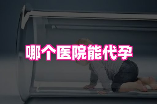 长春助孕网站 1